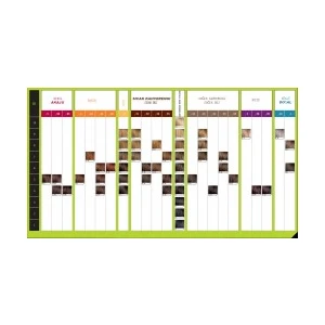 L'Oréal Professionnel İnoa 5.26 Açık Kahve İrize Kizil Saç Boyası