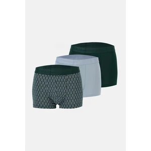 Açık Mavi-Koyu Yeşil 5210 3'lü Desenli Pamuk Boxer