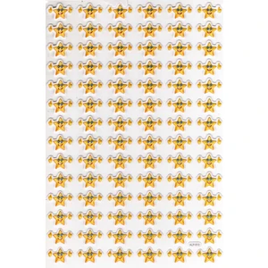 Sticker Kabartmalı A4 Boyutunda Stiker Defter, Planlayıcı ETIKET-(LIM510) - Süper Gülen Yıldız