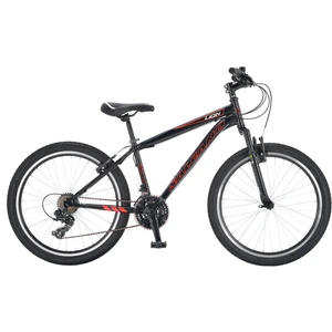 Lion 24 Jant Çocuk Bisikleti (135-155 cm Boy)