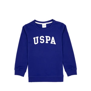 U.s. Polo Assn. Erkek Çocuk Mor Sweatshirt 50313830-VR038