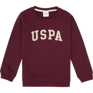 U.s. Polo Assn. Erkek Çocuk Plum Sweatshirt 50313830-VR177