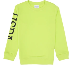 U.s. Polo Assn. Erkek Çocuk Elma Yeşili Sweatshirt 50313831-VR020