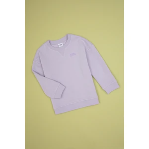 U.S. Polo Assn. Kız Çocuk Lila Şardonlu Bisiklet Yaka Basic Sweatshirt 50316810-VR245