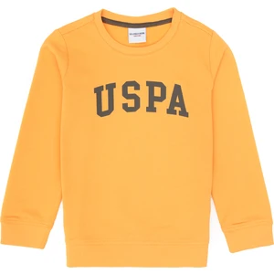 U.s. Polo Assn. Erkek Çocuk Sweatshirt 50313830-VR244