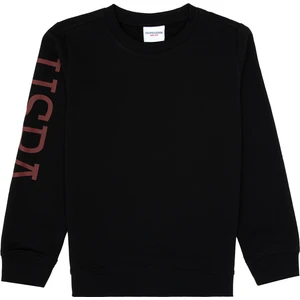 U.s. Polo Assn. Erkek Çocuk Siyah Sweatshirt 50313831-VR046