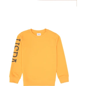 U.S. Polo Assn. Erkek Çocuk Mango Bisiklet Yaka Basic Sweatshirt 50313831-VR244