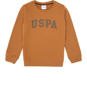 U.s. Polo Assn. Erkek Çocuk Sweatshirt 50313830-VR233