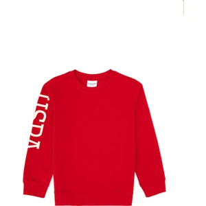 U.s. Polo Assn. Erkek Çocuk Kırmızı Sweatshirt 50313831-VR171