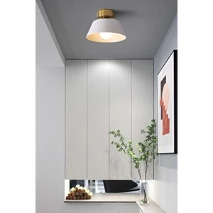 Dolly Modern Hol Koridor Giriş Için Tekli Plofonyer Metal Avize