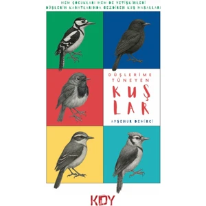 Düşlerime Tüneyen Kuşlar