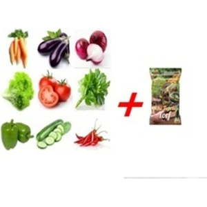 60 Adet Karışık Sebze Tohumu + Toprak Hediyeli