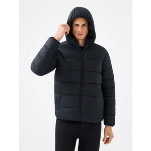 Regular Fit Erkek Mont