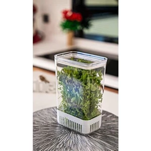 Yeşillik Saklama Kabı 2900 ml | Sebze Saklama & Buzdolabı Tazeleyici Kutu