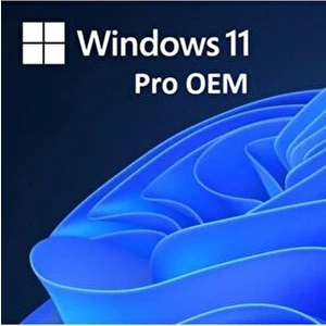 Windows 11 Pro Oem Dijital Lisans Anahtarı Hemen Teslim 2025