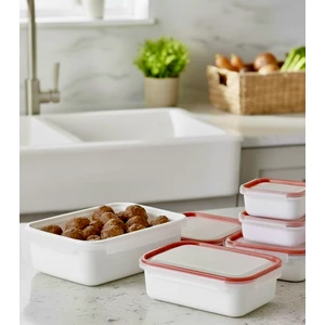 Berina Home Kilitli & Kapaklı Saklama Kabı 4'lü Set (0.45L + 1l + 2l + 4l) | Hava Geçirmez, Bpa Içermez, Mikrodalga ve Bulaşık Makinesine Uygun