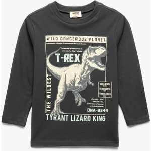 Dinozor Baskılı Uzun Kollu Bisiklet Yaka Tişört