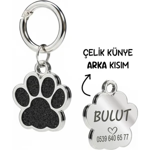 Çelik Simli Kedi Künyesi Kedi Isimliği