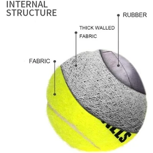 River World Köpekler Için 4 Adet Top Oyuncak