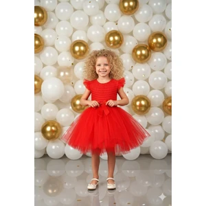 Tütülü Çocuk Abiye Elbise Gösteri Elbisesi ABY236