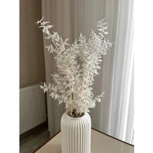 Kuru Çiçek Beyaz Kokina, Beyaz Kokina Demeti, Ev Dekorasyon, 4 Dal