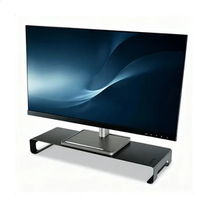 Riser Masaüstü Monitör Standı - Monitör Yükseltici - Large - RSR8050