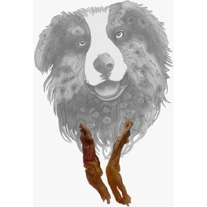 Beef Tendon2 Pcs. - Dana Tendon 2 Adet