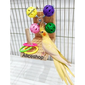 Alice Shop Sultan Sevda Cennet Papağanı Muhabbet Kuşu Zilli Toplu Döner Oyun Platformu