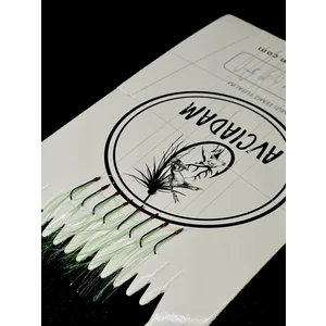 Istavrit Çapari Acık Yeşil  (Kıyı)