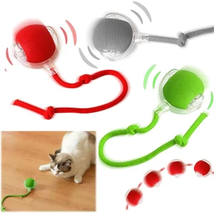 Kediler ve Köpekler Için Kuyruklu Etkileşimli Oyun Topu, Ipli USB Şarjlı 3 Modlu 1 Adet