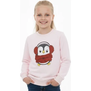 Kız Çocuk Sweatshirt Baskılı Şardonlu Kışlık