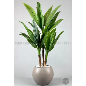 Starliçe Ağacı 150 cm Küre Saksıda