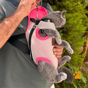 Kedi Köpek Ana Kucağı