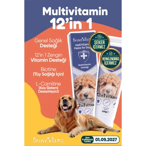 Köpekler Için Gelişim Destekleyici Multivitamin – Sağlıklı Büyüme Formülü