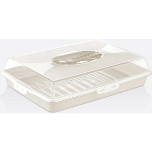 Dünya Plastik Dikdörtgen Pasta & Borcam Saklama Kabı (30307)