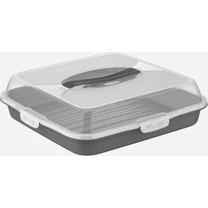 Dünya Plastik Kare Pasta & Borcam Saklama Kabı