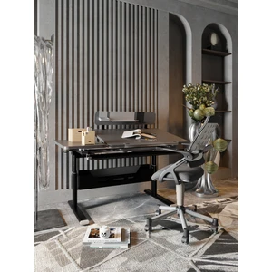 Creo Mobili Profesyonel Ev Ofis Çalışma Masası, Yükseklik Ayarlı Masa + Sandalye - Antrasit/Gri - Vega Advanced