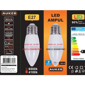12-24 Solar Mum LED Ampul