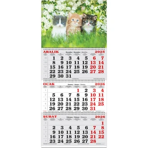 Keskin 2026-3 Aylık Spiralli Jumbo Denizci Takvim-Kediler