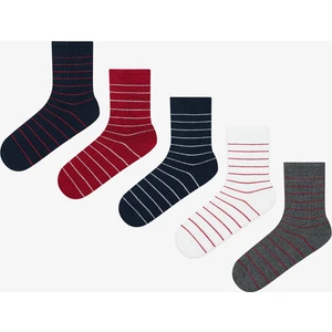 5 Çift Pamuklu Çizgili Soket Çorap
