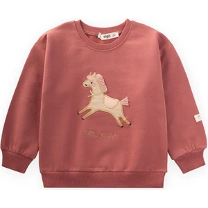 At Aplikeli Sweatshirt 1-6 Yaş Gül Kurusu