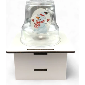 Lapin Eğitim Hizmetleri Kar Küresi – Kendin Yap Dıy Stem Bilim Seti