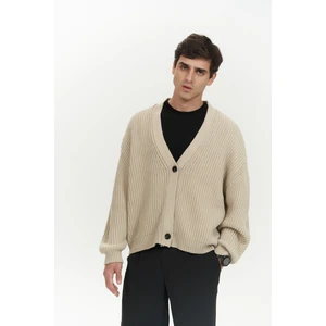 Cassian Bej Erkek Triko Hırka