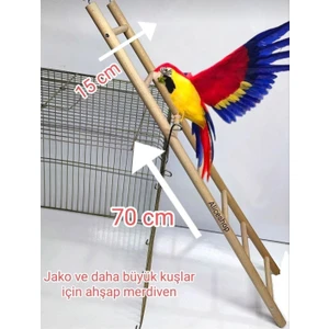 Alice Shop Jako ve Daha Büyük Papağanlar Için Merdiven
