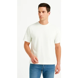 100% Pamuk Basic Fit Bisiklet Yaka Ekru Erkek T-Shirt - Alpha