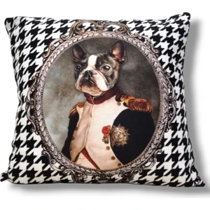 Kaz Ayak General Boston Terrier