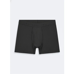 Antrasit Boxer