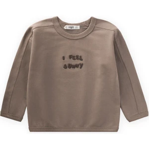 Nakışlı Sweatshirt 1-7 Yaş S Vizon