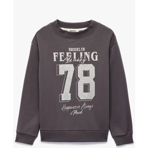 Pamuklu Uzun Kollu Bisiklet Yaka Baskılı Sweatshirt