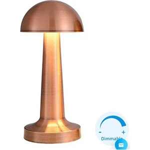 Cata SeckinStore Meltem LED Tavan Vantilatör Uzaktan Kumandalı CT-3010